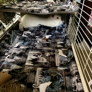 10x10 In. Mystery Pack of Lap Pads/potty Pads for Guinea Pigs, Rabbits ...