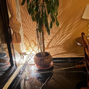 Waleed added a photo of their purchase