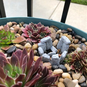 Charlyn added a photo of their purchase