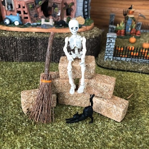 Carol added a photo of their purchase