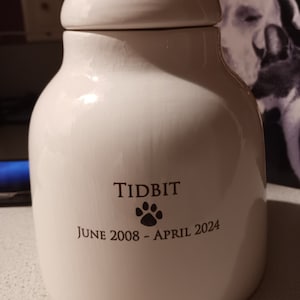 Tami adicionaram uma foto da sua compra