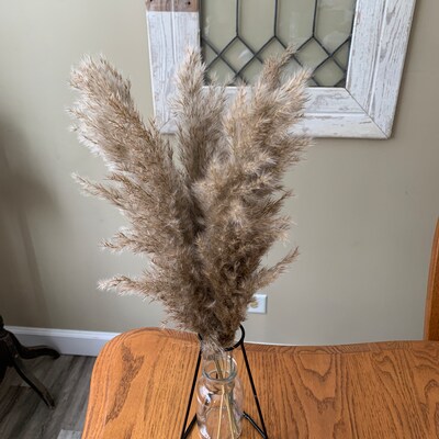 Pampas Palm Scrunchies main image 0