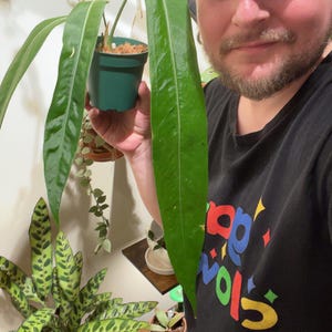 Flaccid added a photo of their purchase