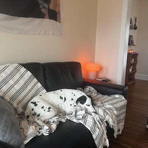A heeft een foto van de aankoop toegevoegd