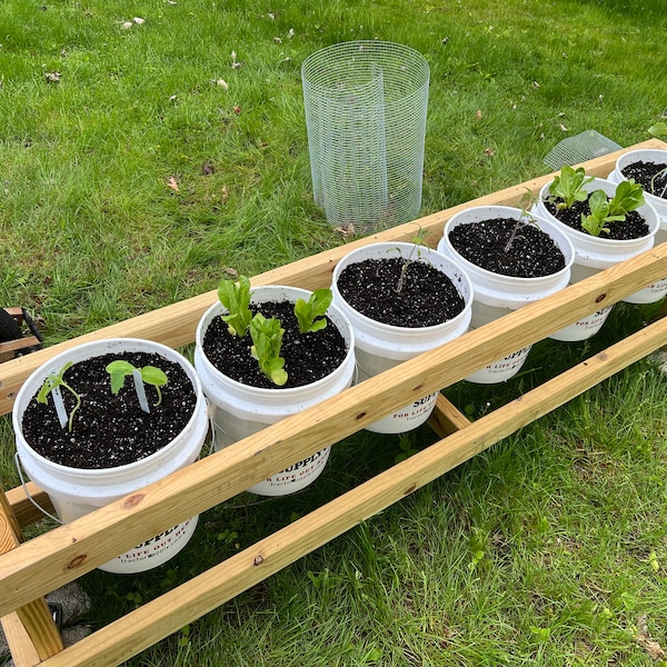 5 Gallon Bucket Planter Rack for 6 Buckets - Etsy