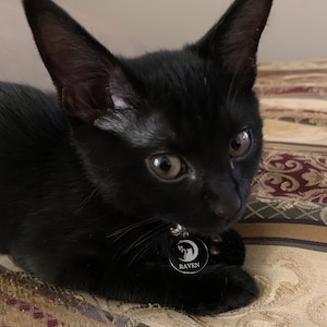 Ruby added a photo of their purchase
