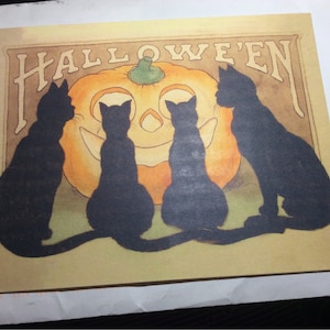 Melissa added a photo of their purchase