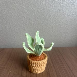 Stephanie さんが購入した商品の写真を追加しました