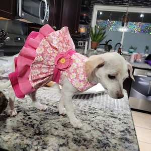 kassi added a photo of their purchase