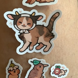 Anna added a photo of their purchase