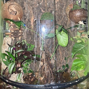 Emily added a photo of their purchase