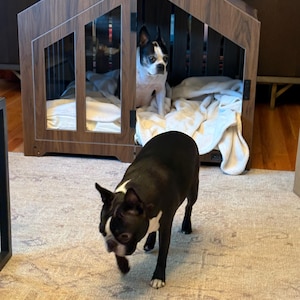 Jennifer added a photo of their purchase