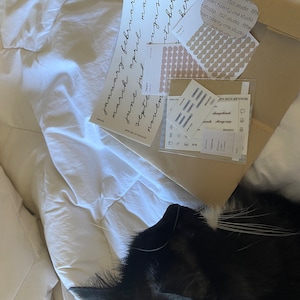 Cat added a photo of their purchase