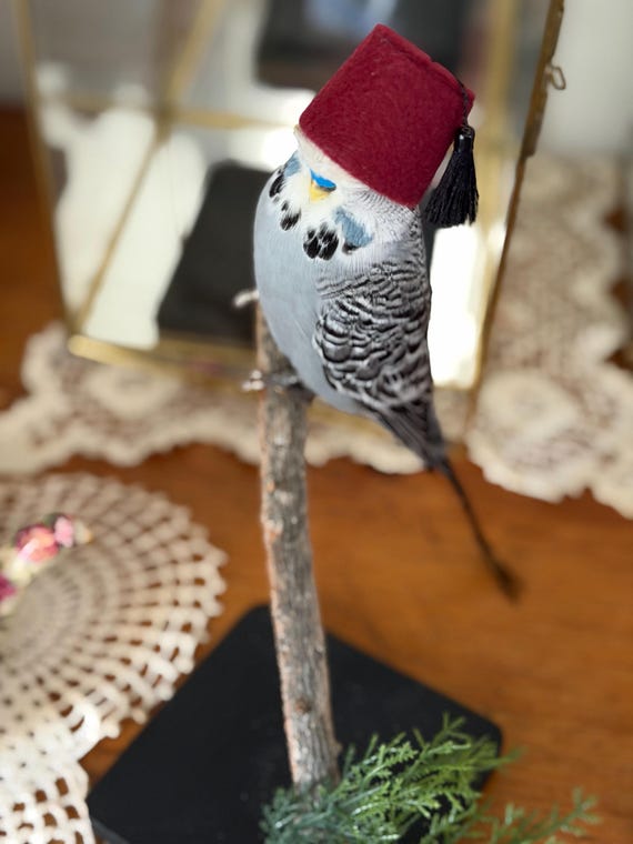 Customer photo of a pet with the Fez Hat mini small pet Cat Dog Hedgehog Vogue