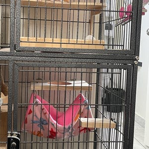 Addi added a photo of their purchase