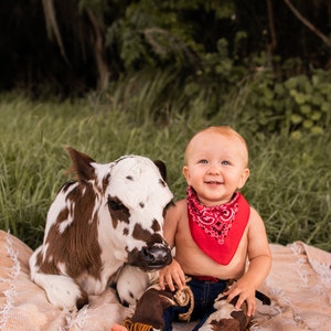6 PIECES. My First Rodeo Cowboy Birthday Outfit Party Set Baby | Etsy
