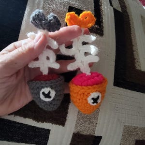 Casie added a photo of their purchase