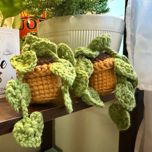 Alexis さんが購入した商品の写真を追加しました