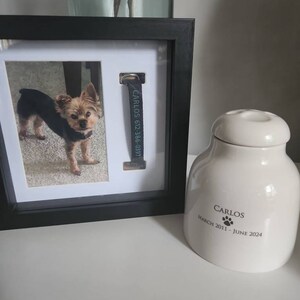 KIM adicionaram uma foto da sua compra