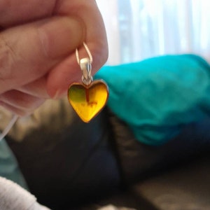 Delia added a photo of their purchase