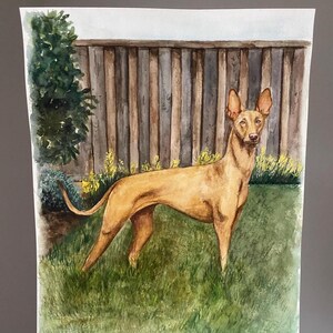 Kevin added a photo of their purchase