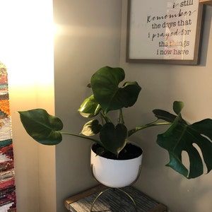 Bailee added a photo of their purchase