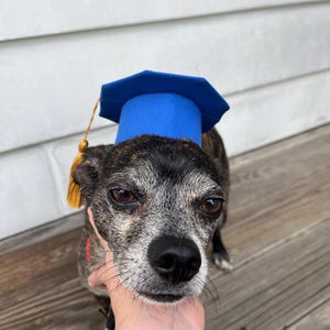 Aazon.co : GOYOSWA 3 PCS Dog Graduation Outfit, Dog Graduation Cap