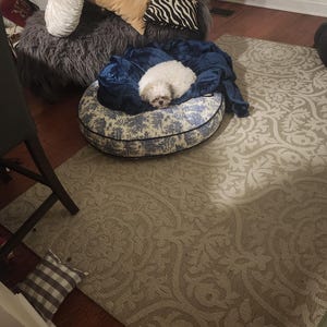 Miriam added a photo of their purchase