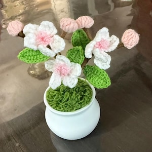 Bao added a photo of their purchase