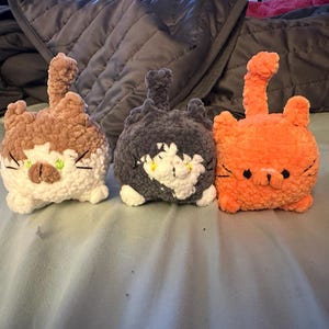 Lilly added a photo of their purchase