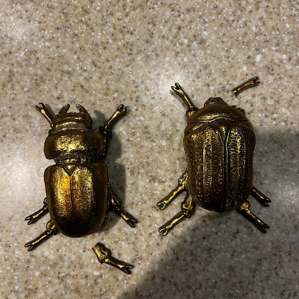 Gold Wall Beetles, Wall Decor, Wall Art - Etsy