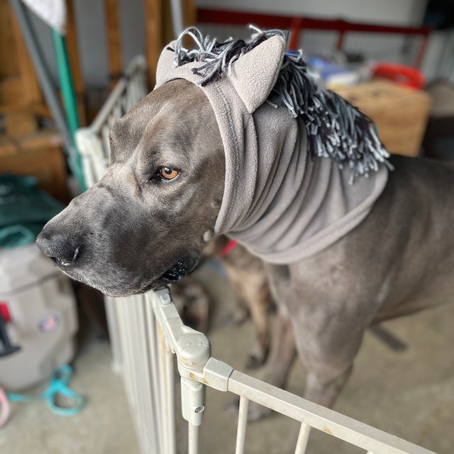 Custom Sized Horse Costume Snood for Dogs Etsy
