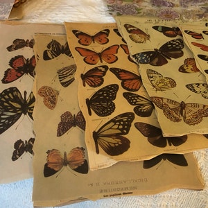 Sofea added a photo of their purchase