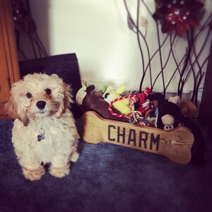 alison added a photo of their purchase