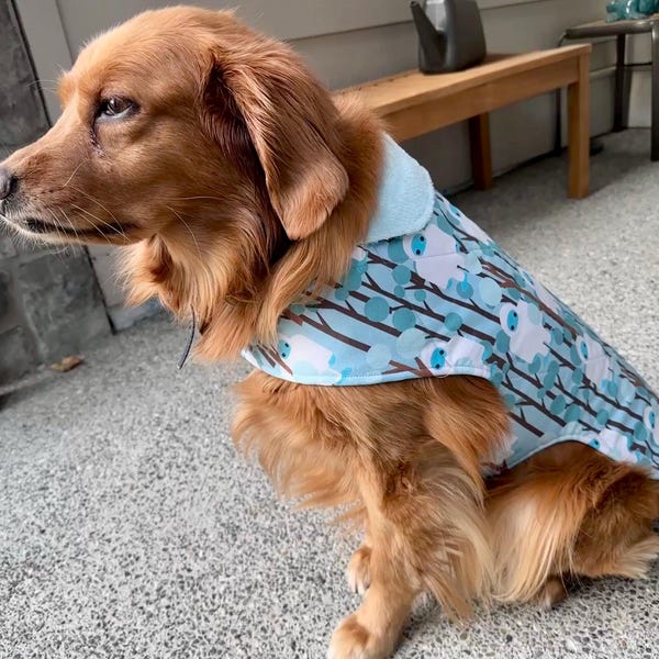 Dog Quilted Coat PDF Sewing Pattern Sizes XXS to 3XL (8 Sizes) Instant ...