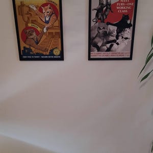 Katharina added a photo of their purchase