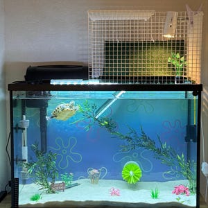 Kamila added a photo of their purchase