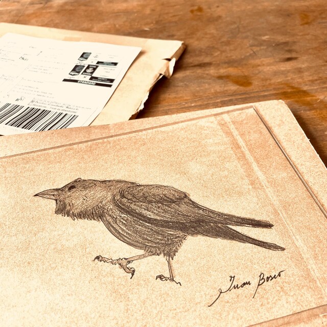 errer アンティーク木箱 鳥の羽 筆記体 植物標本 ブロカント オリジナル、印刷物ではありません - カラスのアート、カラスの木炭