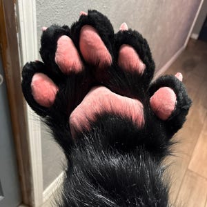 lucifer added a photo of their purchase