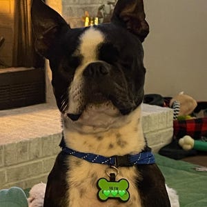 Lexie added a photo of their purchase