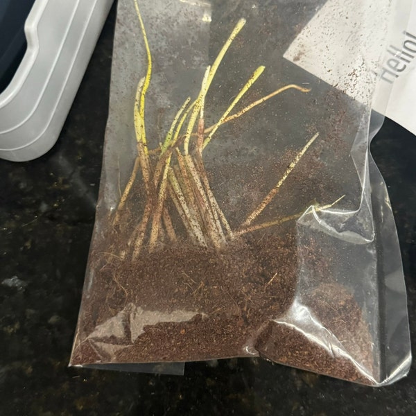 Jang Seed Roller for Jang JP1/JP5 Seeder, Custom 3D Print, You Choose