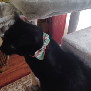 Sherry added a photo of their purchase