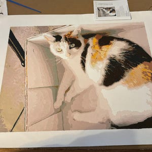 Brittany added a photo of their purchase