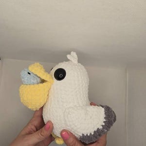 Amber added a photo of their purchase