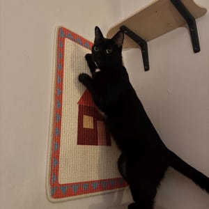 Diana ha añadido una foto de su compra