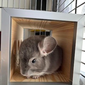 Daniele added a photo of their purchase