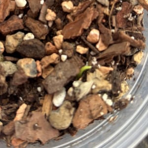 Tara a ajouté une photo de son achat