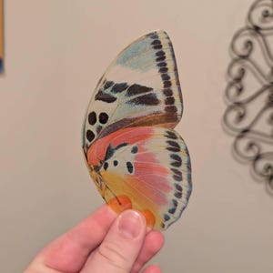 M. added a photo of their purchase