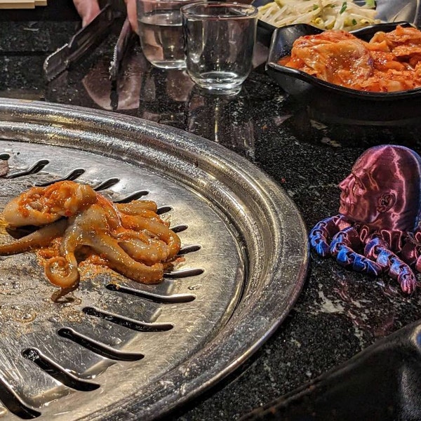 Shelf Riser for Displaying Two Rows of Books and Manga on a Single ...