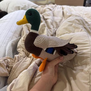Madeline added a photo of their purchase